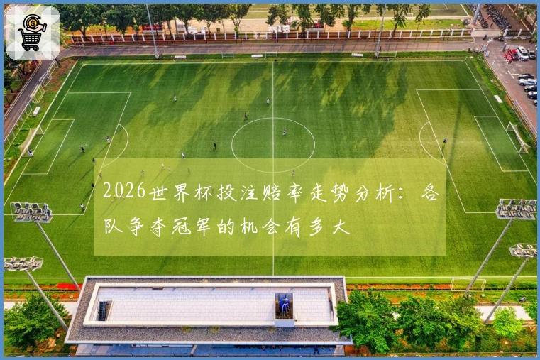 2026世界杯投注赔率走势分析：各队争夺冠军的机会有多大